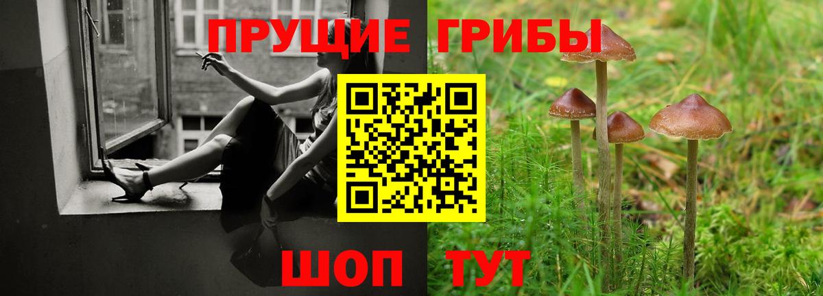 где можно купить наркотик  Псилоцибиновые грибы мицелий  Вход с VPN  Новотроицк  Псилоцибиновые грибы Magic Shrooms 